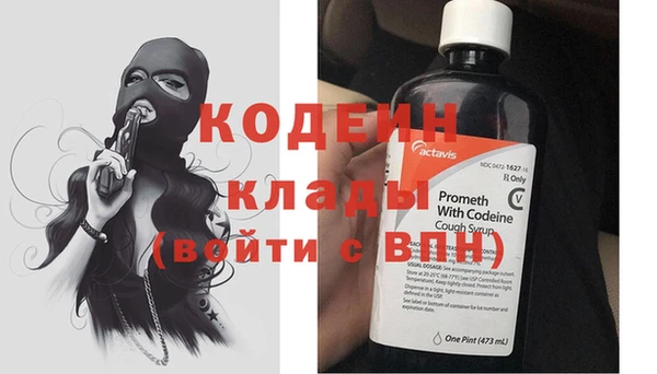 прущие грибы Бугульма