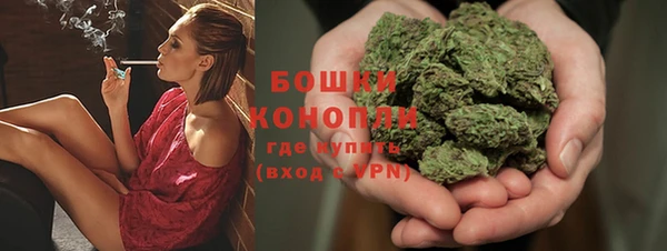 ГАЛЛЮЦИНОГЕННЫЕ ГРИБЫ Верея