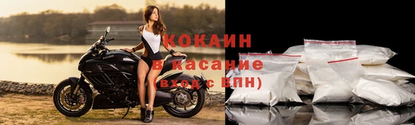 прущие грибы Бугульма