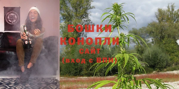 спайс Бородино