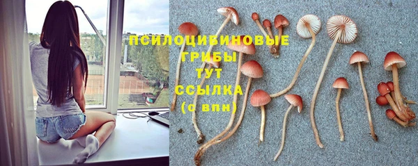 спайс Бородино