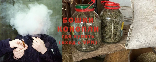спайс Бородино