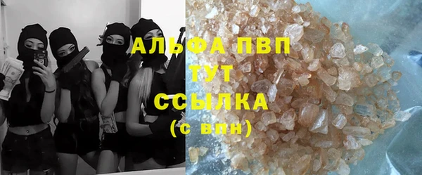ГАЛЛЮЦИНОГЕННЫЕ ГРИБЫ Верея
