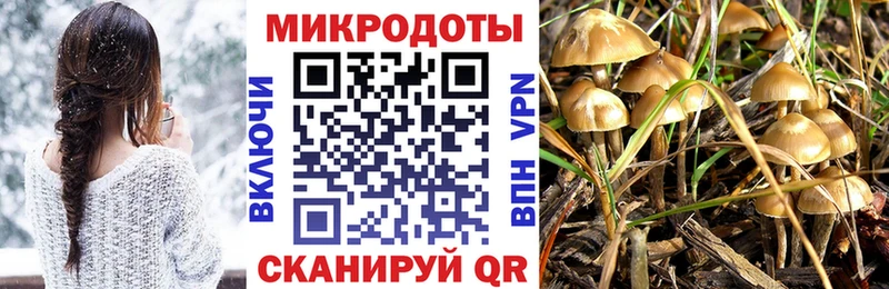 Псилоцибиновые грибы ЛСД  кракен ТОР  Десногорск  купить  цена 